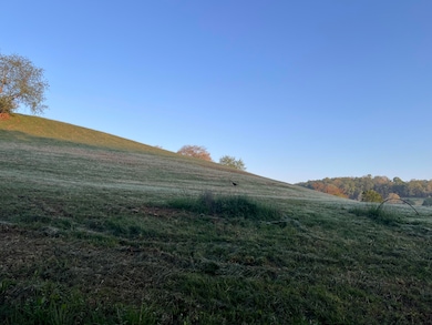 9999 Shiner Hill Phase II Lot #37, Williamsburg, KY 40769 - photo 4