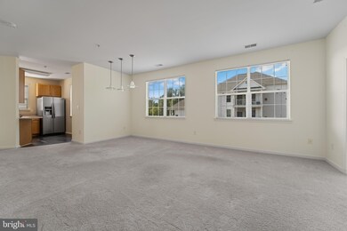 9609 Devedente Dr unit 201, Owings Mills, MD 21117 - photo 5