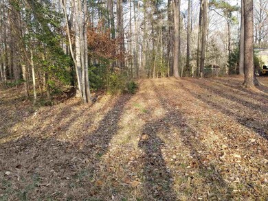 133 Omaha Dr, Louisburg, NC 27549 - photo 2