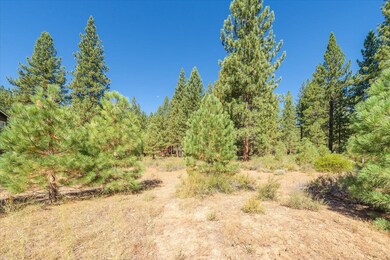 11272 Wolverine Cir, Truckee, CA 96161 - photo 4