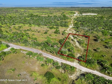 1313 Magic St SW, Palm Bay, FL 32908 - photo 2