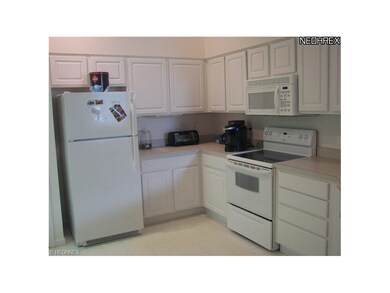 All the appliances to remain.  Very brigh kitchen.