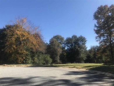 204 Winston Ct, Warner Robins, GA 31088 - photo 3