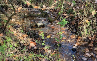 00 Ravencliff Rd, Talking Rock, GA 30175 - photo 2