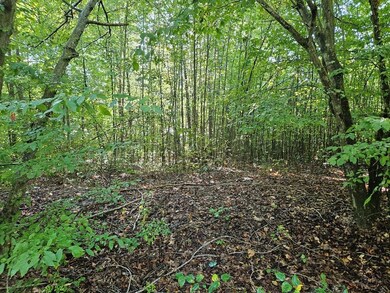 0 Abilene Rd unit 1 57687, Keysville, VA 23947 - photo 2