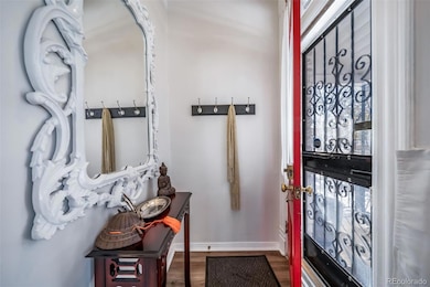 3536 N Williams St unit 1, Denver, CO 80205 - photo 5