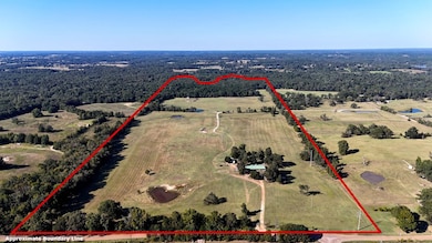 10769 County Road 3519, Murchison, TX 75778 - photo 2