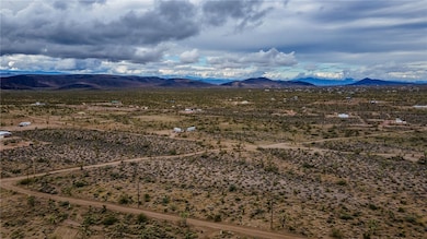 002 N Inyo Dr, White Hills, AZ 86445 - photo 6