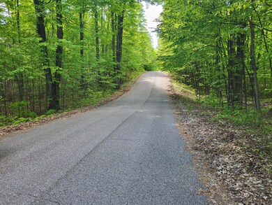 Lot 22 Cubs Way, Vanderbilt, MI 49795 - photo 3
