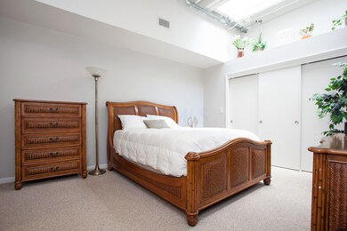 Chestnut_607_005