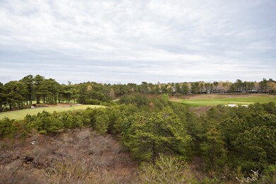 6 Prower Landing unit 6, Plymouth, MA 02360 - photo 5