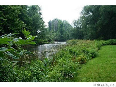 Backyard Creek