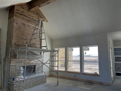 105 Tobiano Trace, Brock, TX 76087 - photo 2