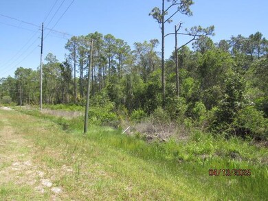 Lot 6 Hwy 67, Carrabelle, FL 32322 - photo 5