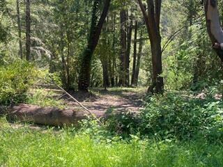 17000 Bear Creek Rd, Boulder Creek, CA 95006 - photo 4