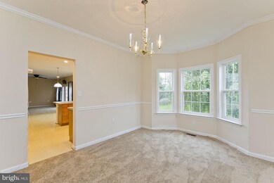 419 Lilys Way, Winchester, VA 22602 - photo 7