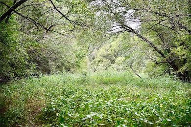 TBD W Fm 71, Talco, TX 75487 - photo 3