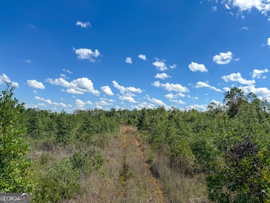 0 U S 84 unit 3 10563296, Homerville, GA 31634 - photo 4