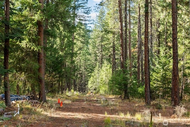 0 S Shugart Flats Rd, Leavenworth, WA 98826 - photo 6