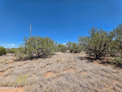 1804 N Frances Ln, Williams, AZ 86046 - photo 7