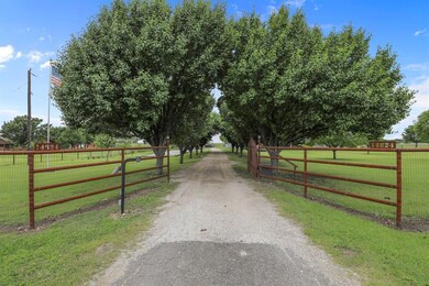 long driveway shaded with trees
