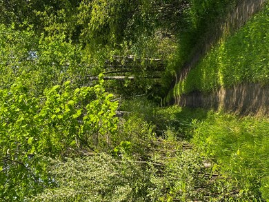 IMG_5421