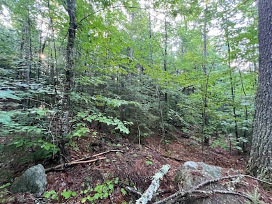 Map 6, Lot 38 Chadwick Hill Rd, Webster, NH 03303 - photo 5