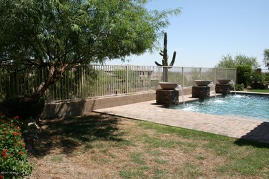 Grassy Yard