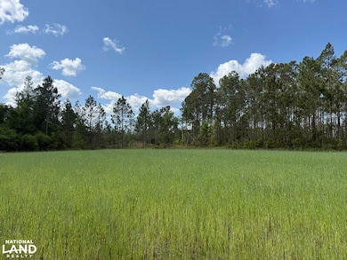 3362 Seed Orchard Rd, Nahunta, GA 31553 - photo 4