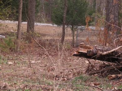 00 Maple Ave, Bull Shoals, AR 72619 - photo 7