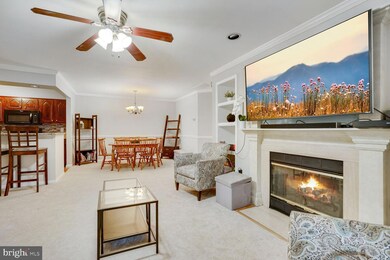 7717 Lafayette Forest Dr unit 12, Annandale, VA 22003 - photo 7