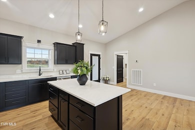 5930 Snapps Ferry Rd unit Lot 3, Afton, TN 37616 - photo 6