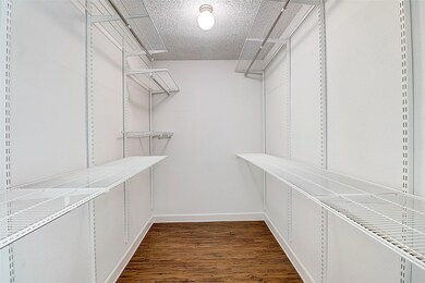 Walk in closet featuring dark hardwood / wood-styl