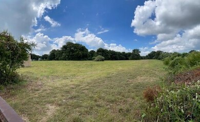 1670 Cottonwood Trail, Poolville, TX 76487 - photo 3