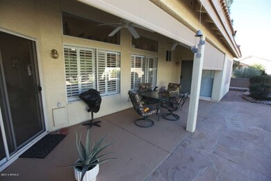 Patio View