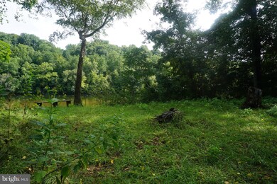 5901 River Rd, Fredericksburg, VA 22407 - photo 6