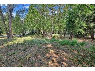 0 Westfir-Oakridge Rd unit 141779874, Westfir, OR 97492 - photo 6