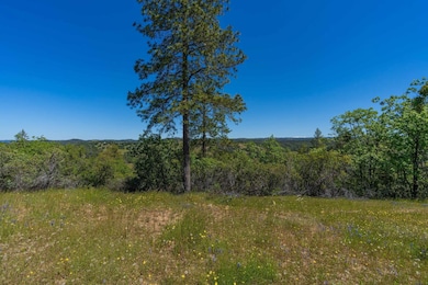 12377 Twin Pines Rd, Sutter Creek, CA 95685 - photo 7