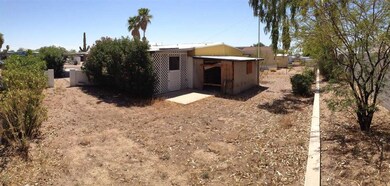 backyard east