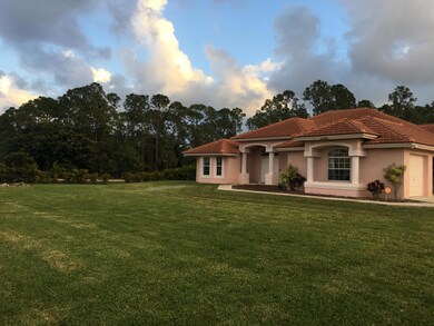 Side View