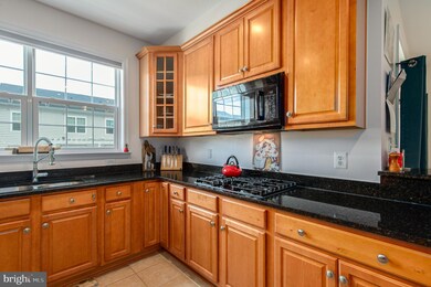 42593 Hollyhock Terrace, Ashburn, VA 20148 - photo 3