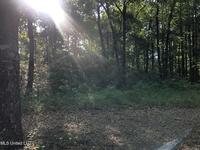 IMG-3276