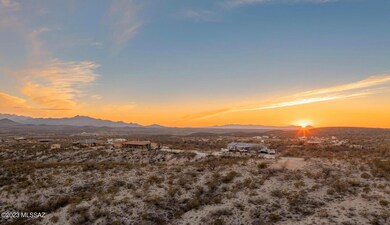 IMG_1831
