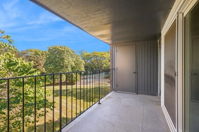 2021 Ammer Ridge Ct unit 302, Glenview, IL 60025 - photo 5