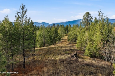 Lot 3 Poulton Way, Bonners Ferry, ID 83805 - photo 3