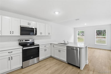 7267 N Outlook Way, Citrus Springs, FL 34433 - photo 3