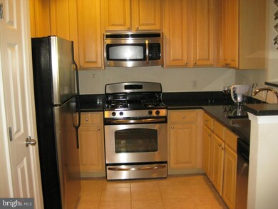 2301 25th St S unit 4202, Arlington, VA 22206 - photo 2