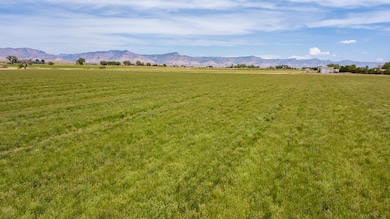 1410 19 Rd, Fruita, CO 81521 - photo 5