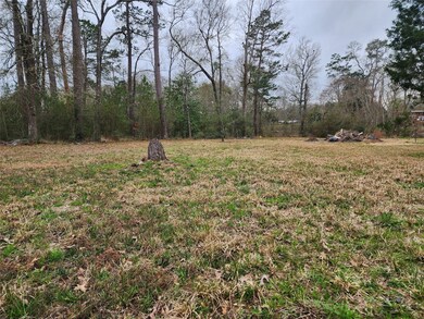 6 Lake Dr, Conroe, TX 77384 - photo 5