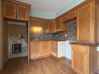 16224 Haven Ave, Orland Hills, IL 60487 - photo 2